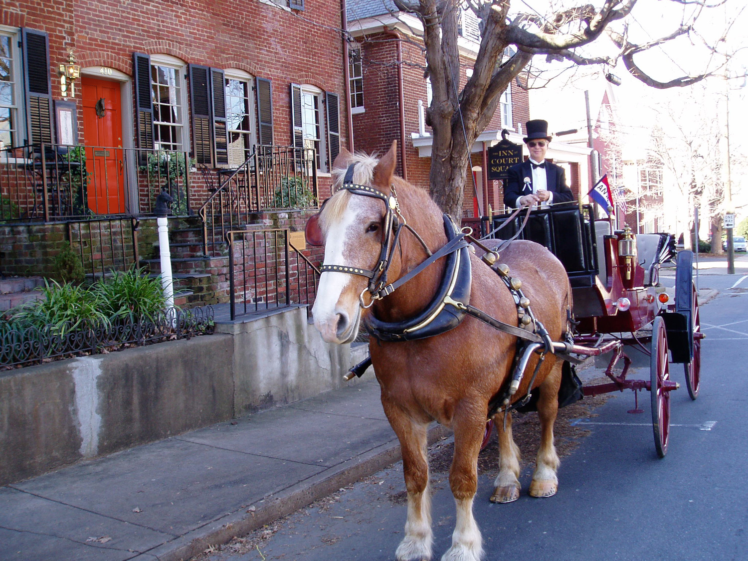 Horse and Carriage During Court Square Days